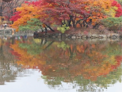 서울 고궁 이번 가을 꼭 가봐야할 BEST 4