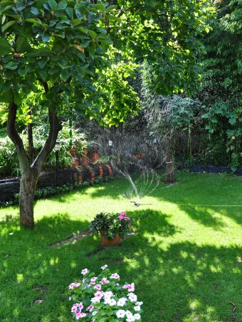 관수 방식 비교 드립 점적 스프링클러 살수장치 선택_16