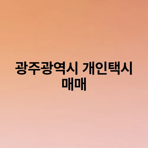 광주광역시 개인택시 매매