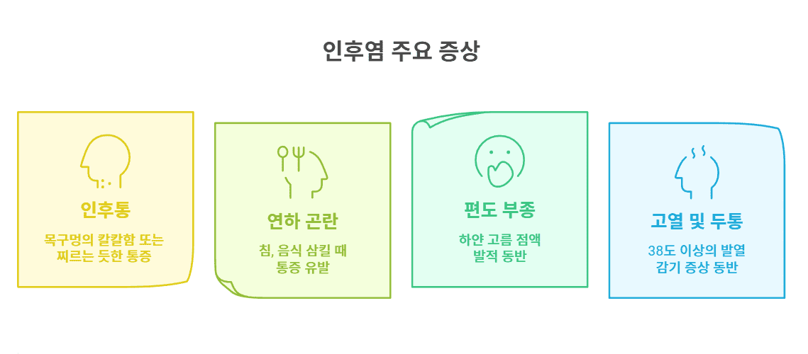 인후염 정의 및 주요 증상