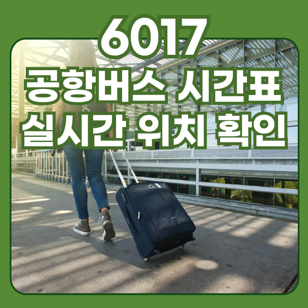 6017 공항버스 시간표, 실시간 위치 확인, 요금, 공항 탑승장소