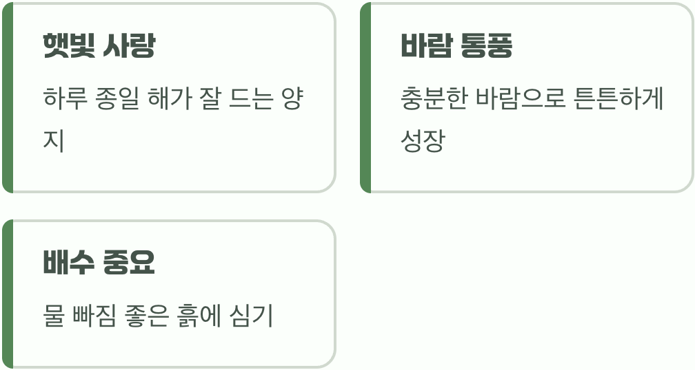 여왕을 위한 최고의 자리