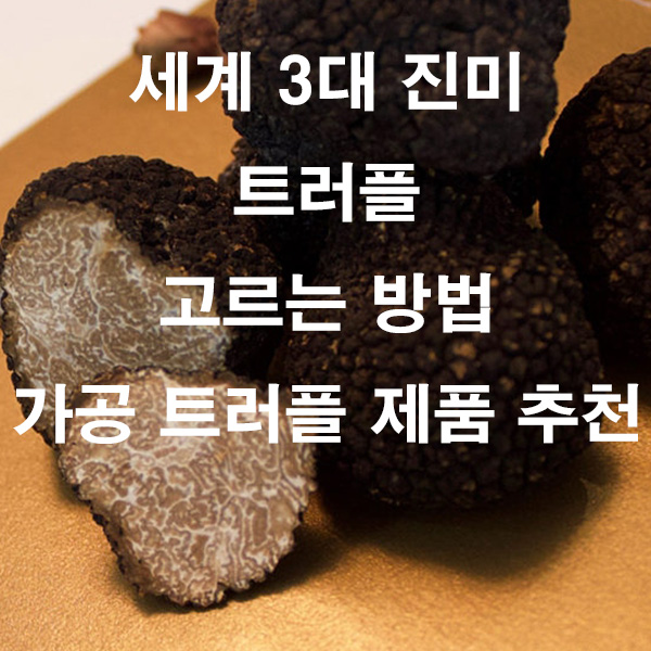 세계 3대 진미 트러플 고르는 방법 가공 트러플 제품 추천
