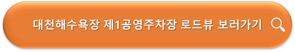 대천해수욕장 제1공영주차장 로드뷰