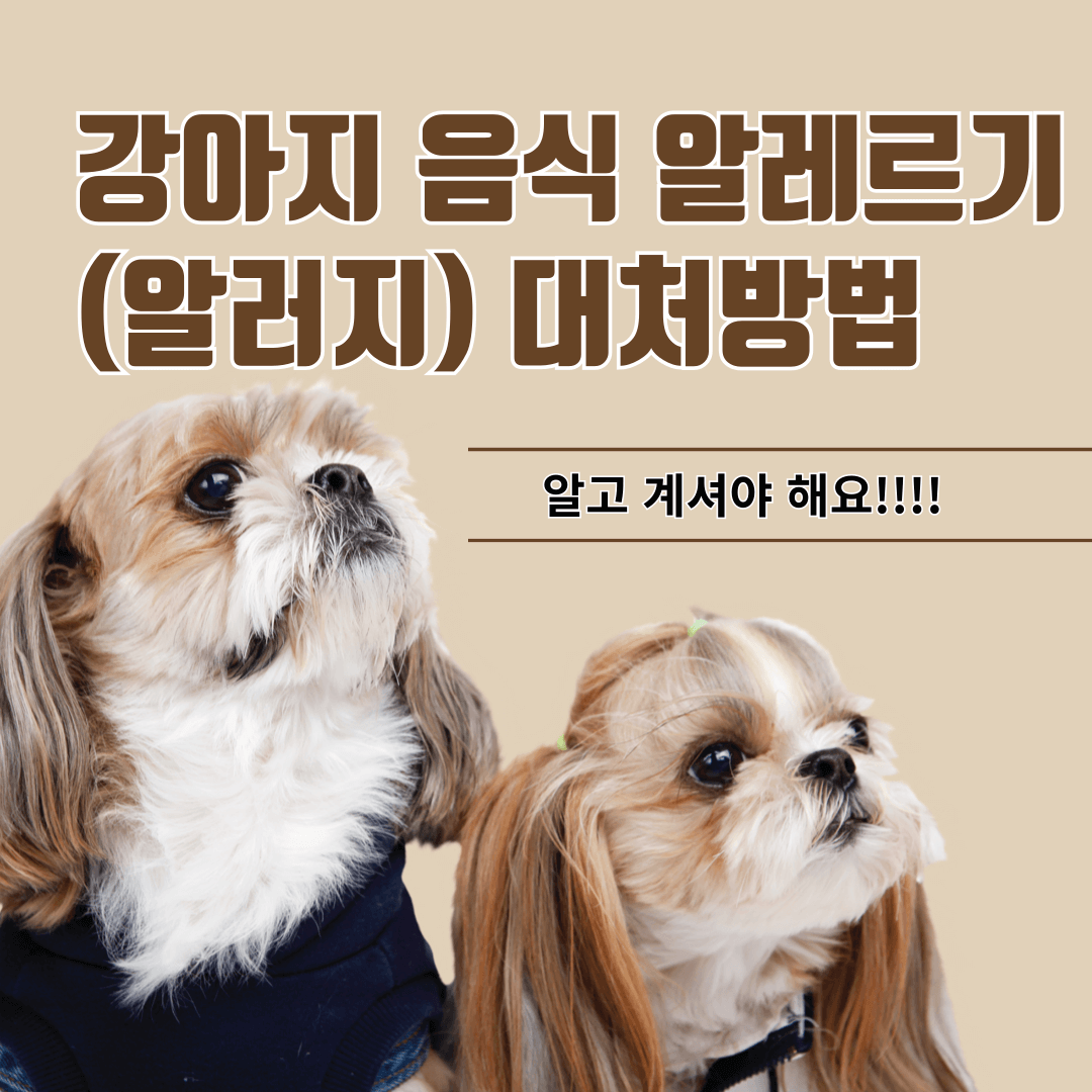강아지 음식 알레르기 대처방법