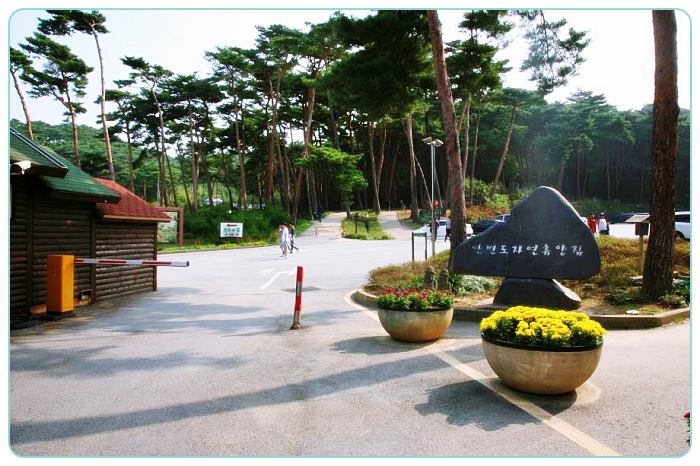 충남-태안-여행-안면도-자연휴양림-정문