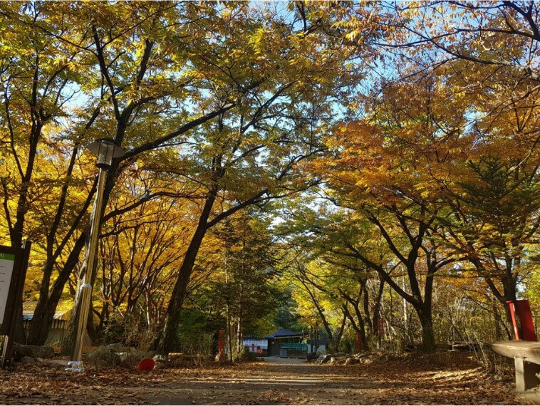 유명산자연휴양림전경