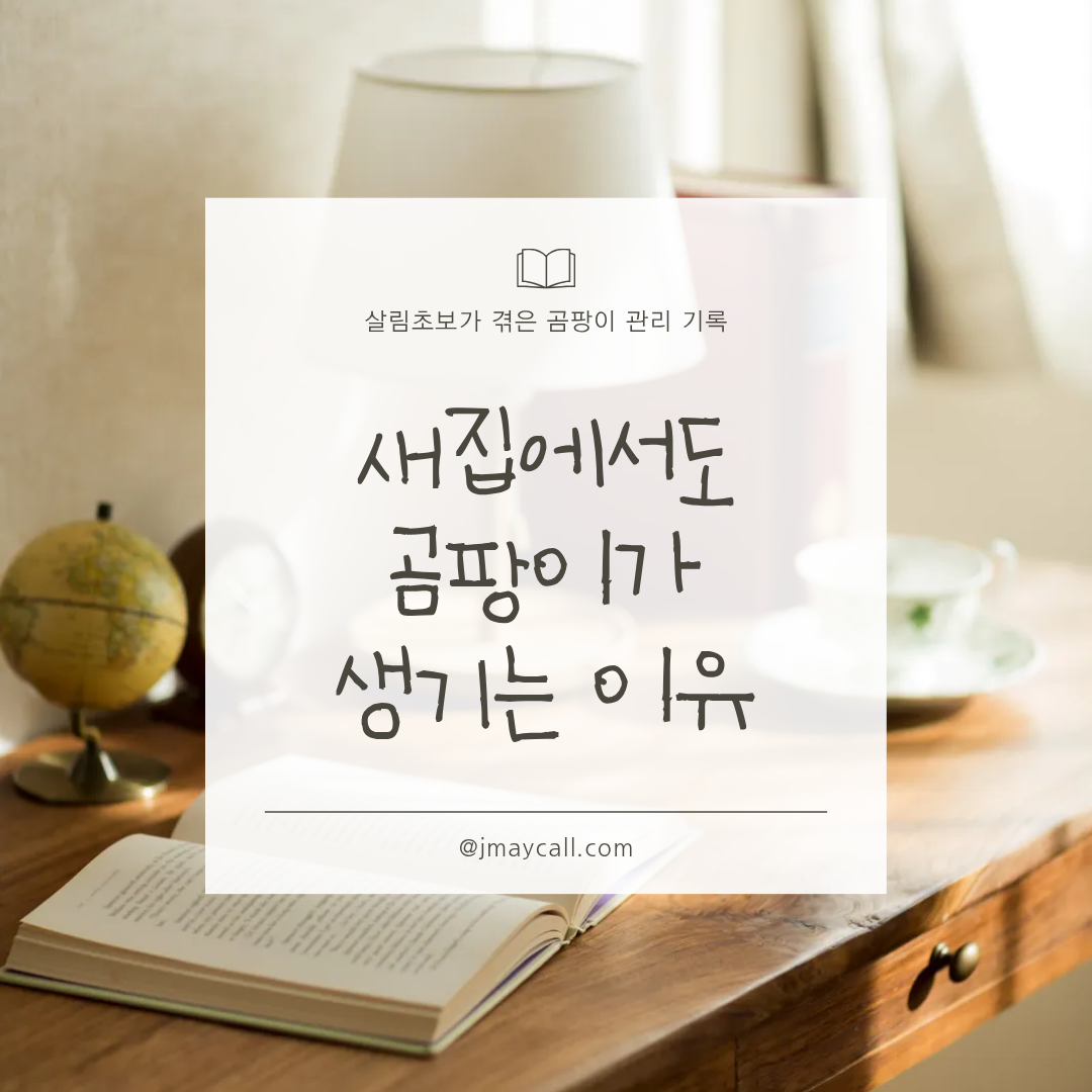 새집에서도 곰팡이가 생기는 이유