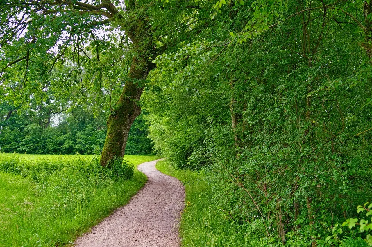 숲나들e 취소표 알림 &amp; 잔여석 대기&amp;#44; 고수들의 예약 비법 
