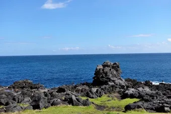 4월 제주도 가볼만한곳 2025년 10선_23