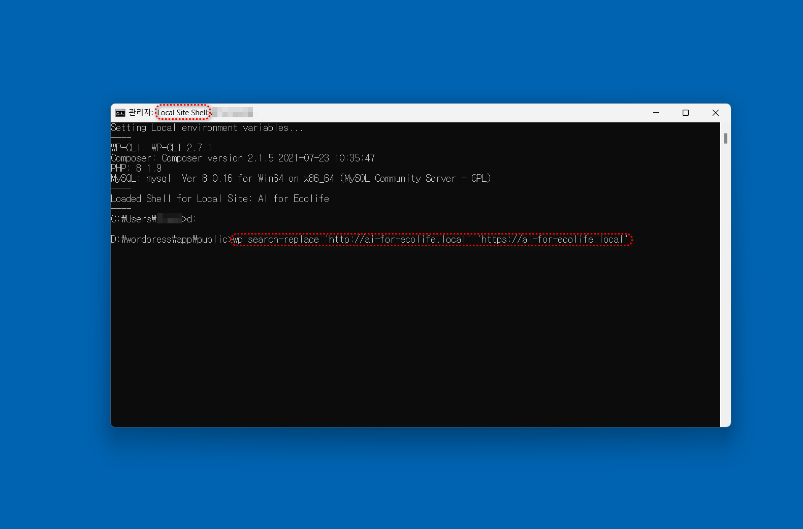 Local Site Shell에 입력 화면