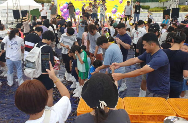 2025 영동포도축제, 오감만족 포도 체험의 성지!