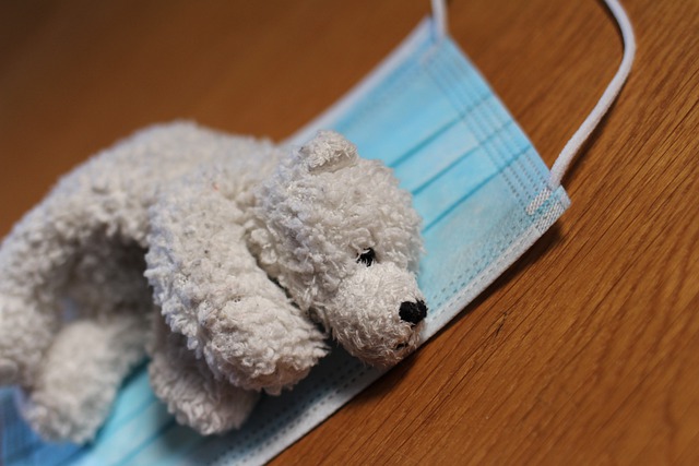 곰인형이 마스크 위에 있다