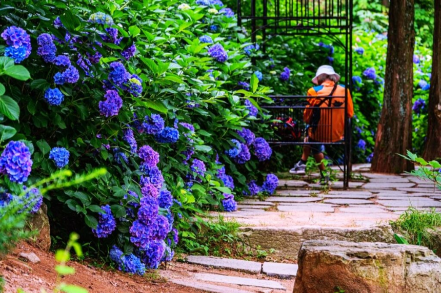 특색 있고 아름다운 민간 정원 30선 추천 여행 - 14. 고성 그레이스 정원