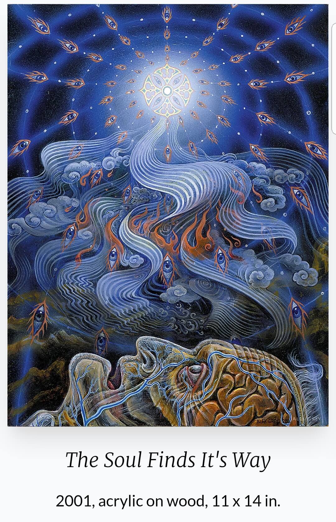 Alex Grey (1953~ ) 작품 &amp;#39;The Soul Finds It&amp;#39;s Way&amp;#39; 