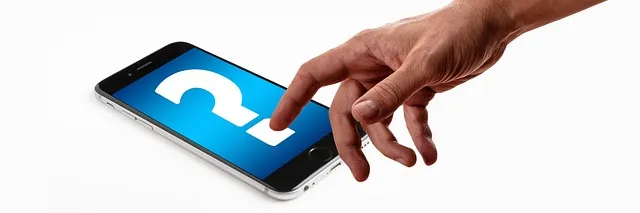 2025년 초복 중복 말복 날짜별 건강 관리법 및 보양식 정리_9