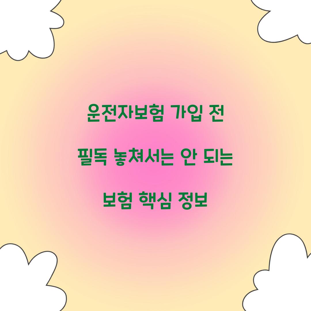 운전자보험 가입 전 필독
