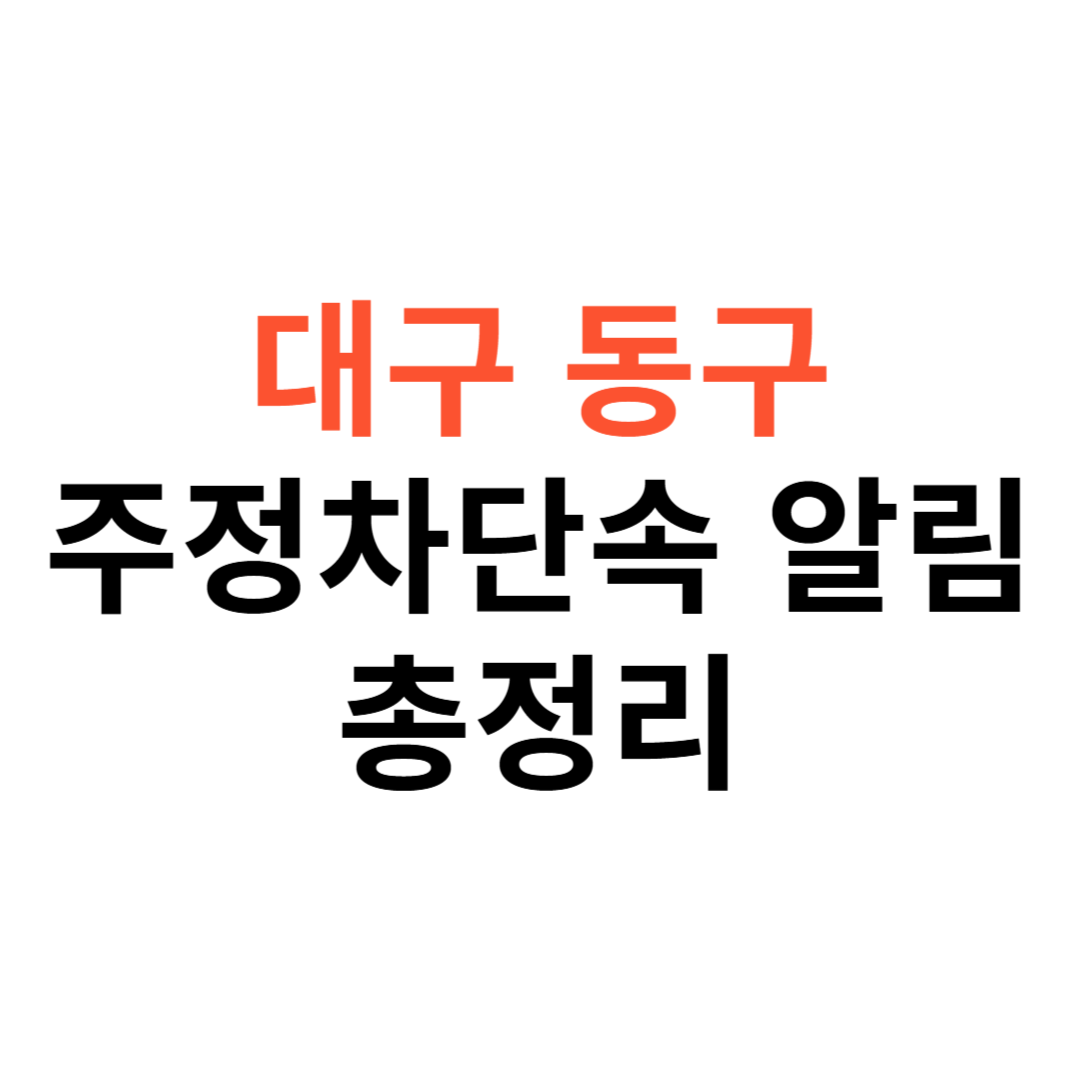 대구 동구 주정차단속