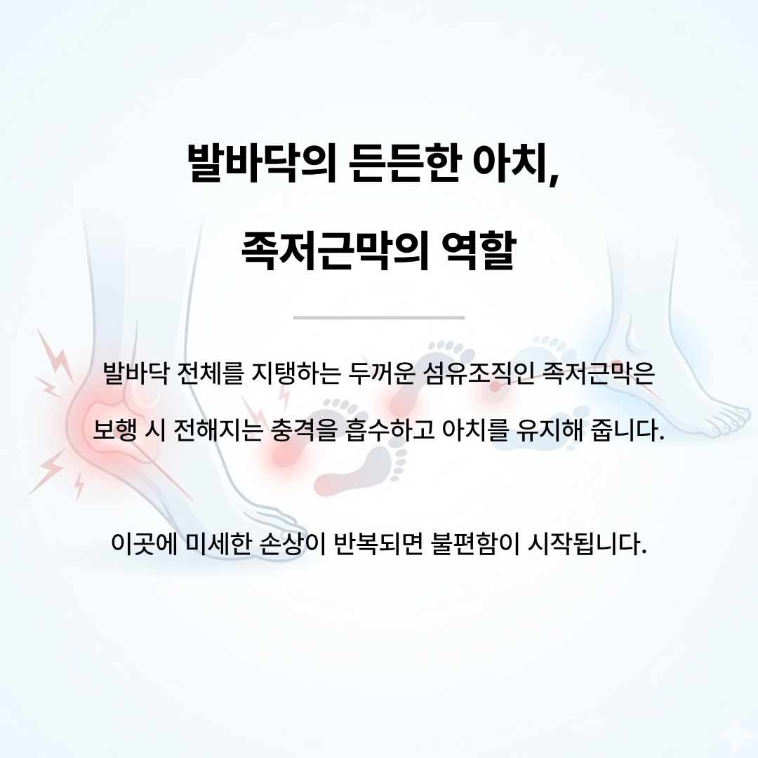 발바닥의 아치를 지탱하는 족저근막 섬유조직의 구조와 충격 흡수 역할을 설명하는 그림