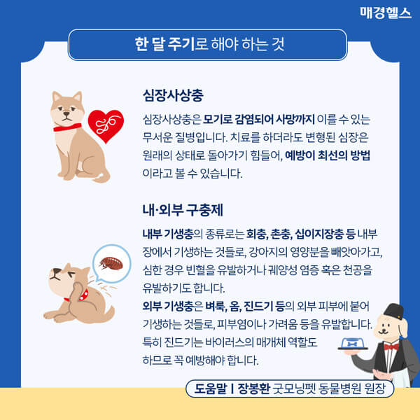 강아지 심장사상충 예방