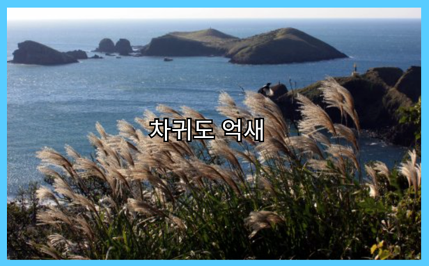차귀도