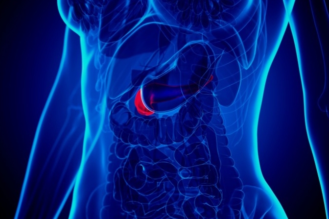 췌장암등통증위치