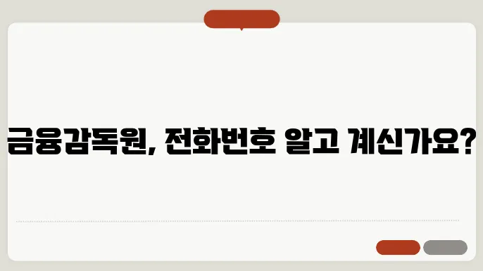 금감원 전화번호