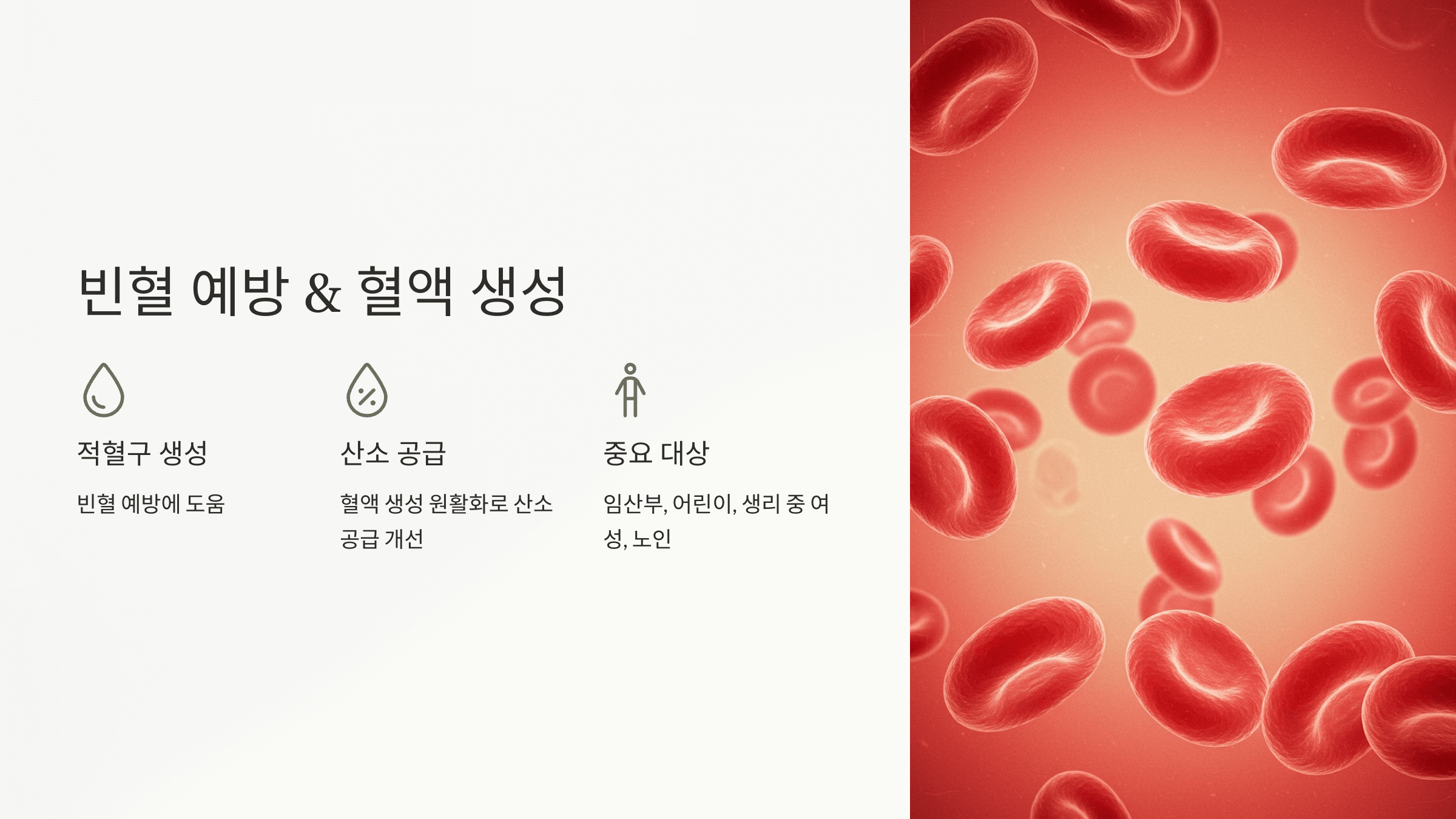 엽산과 관련된 사진입니다.