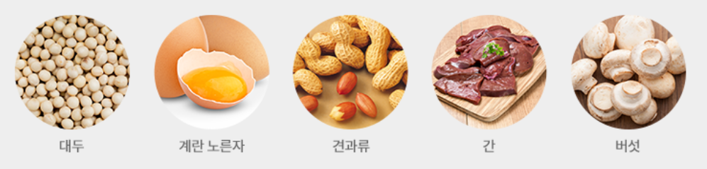 비오틴