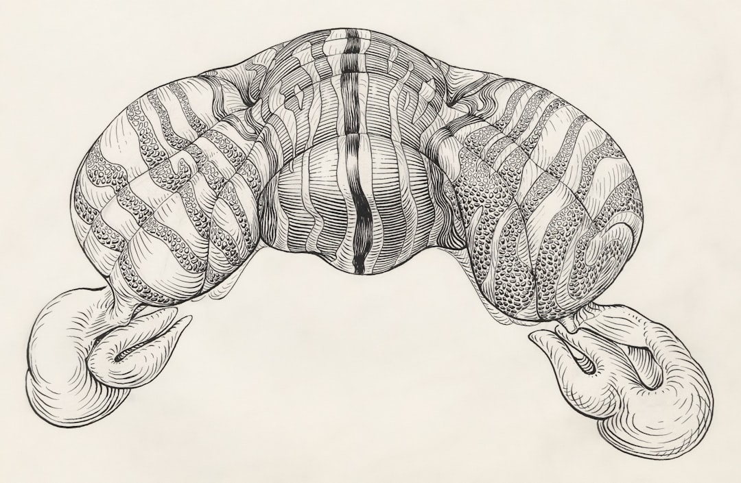 Pankreas (Pancreas)
