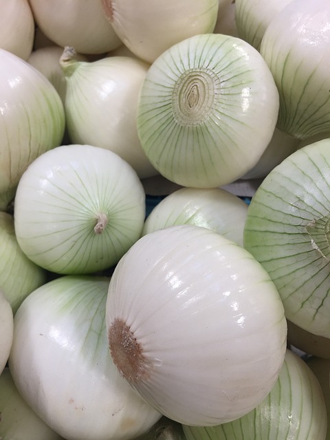 양파 보관법