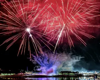 장성 황룡강 가을꽃축제_23