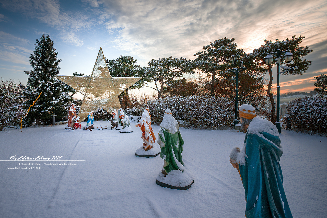 아산 공세리 공세리성당 가톨릭 천주교 성지 성당