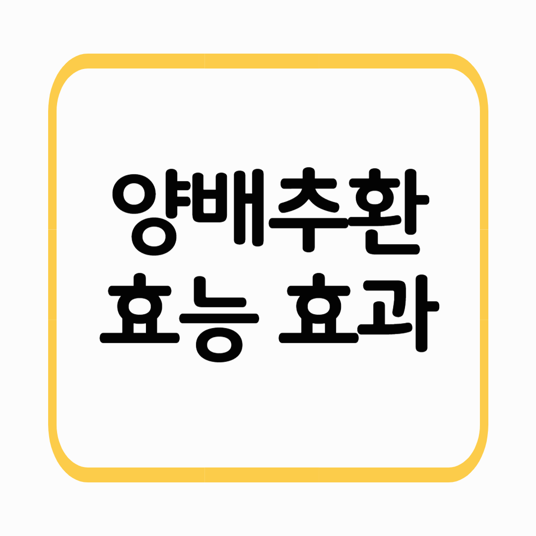 양배추환 효능 위 건강부터 면역력까지 꼭 먹어야하는 이유