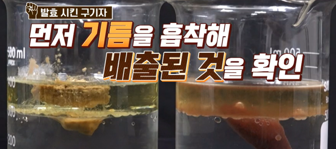 홍국 발효 구기자 효능