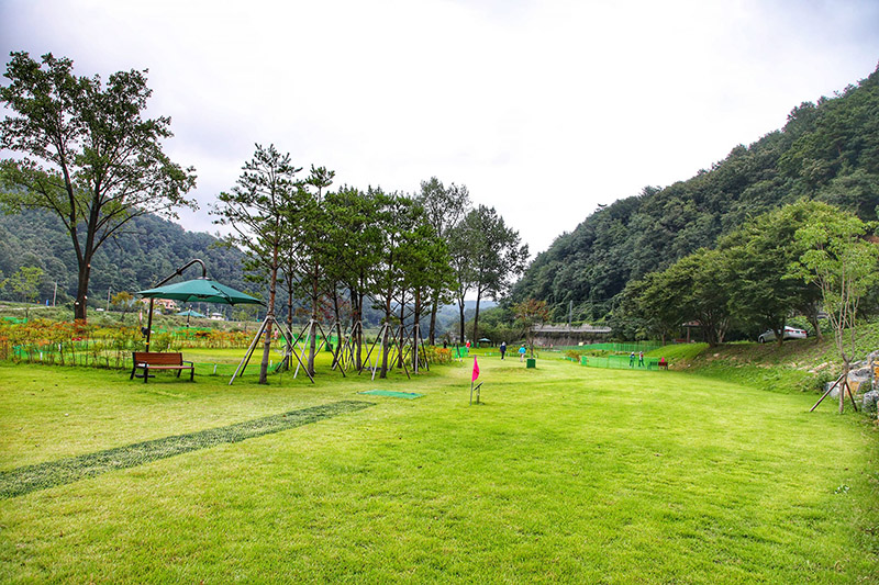 강원도 삼척 미로파크골프장 소개