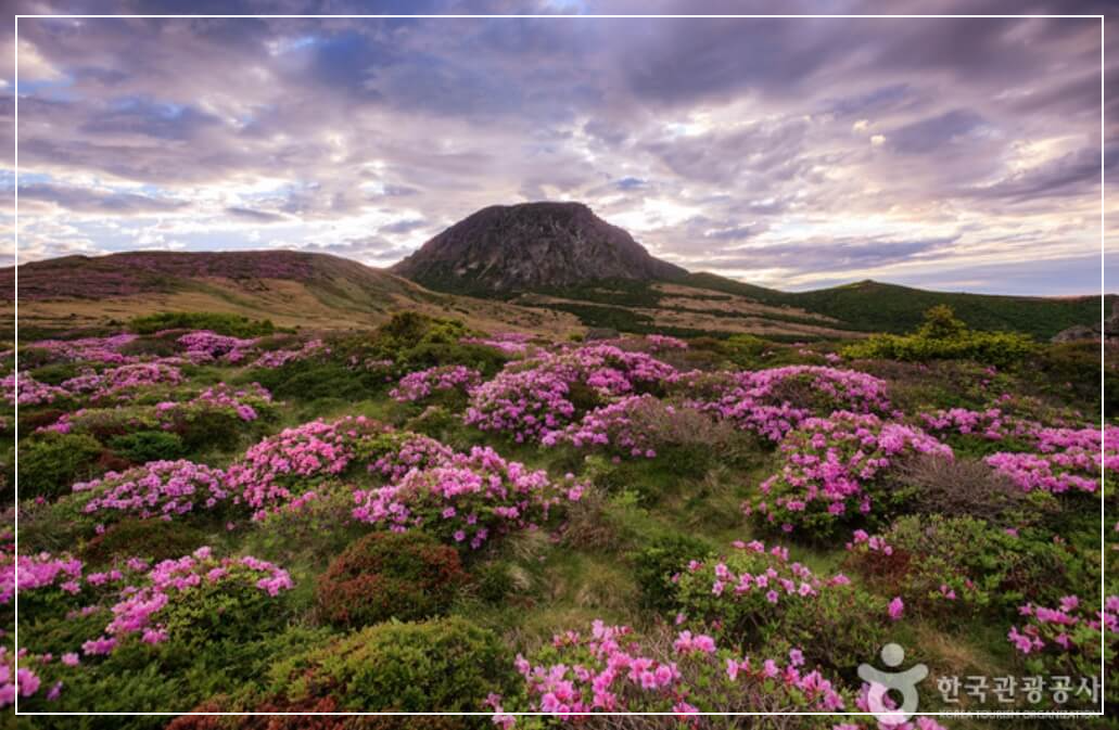제주도 가볼만한곳 베스트10 한라산 국립공원