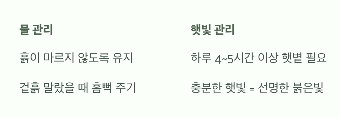 물과 햇빛, 이것만 기억하세요