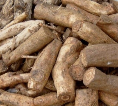 천마 관절 건강과 두통 완화