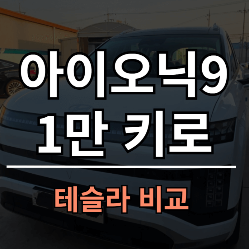 아이오닉 9 1만km 주행 후기 (테슬라 비교 포함)