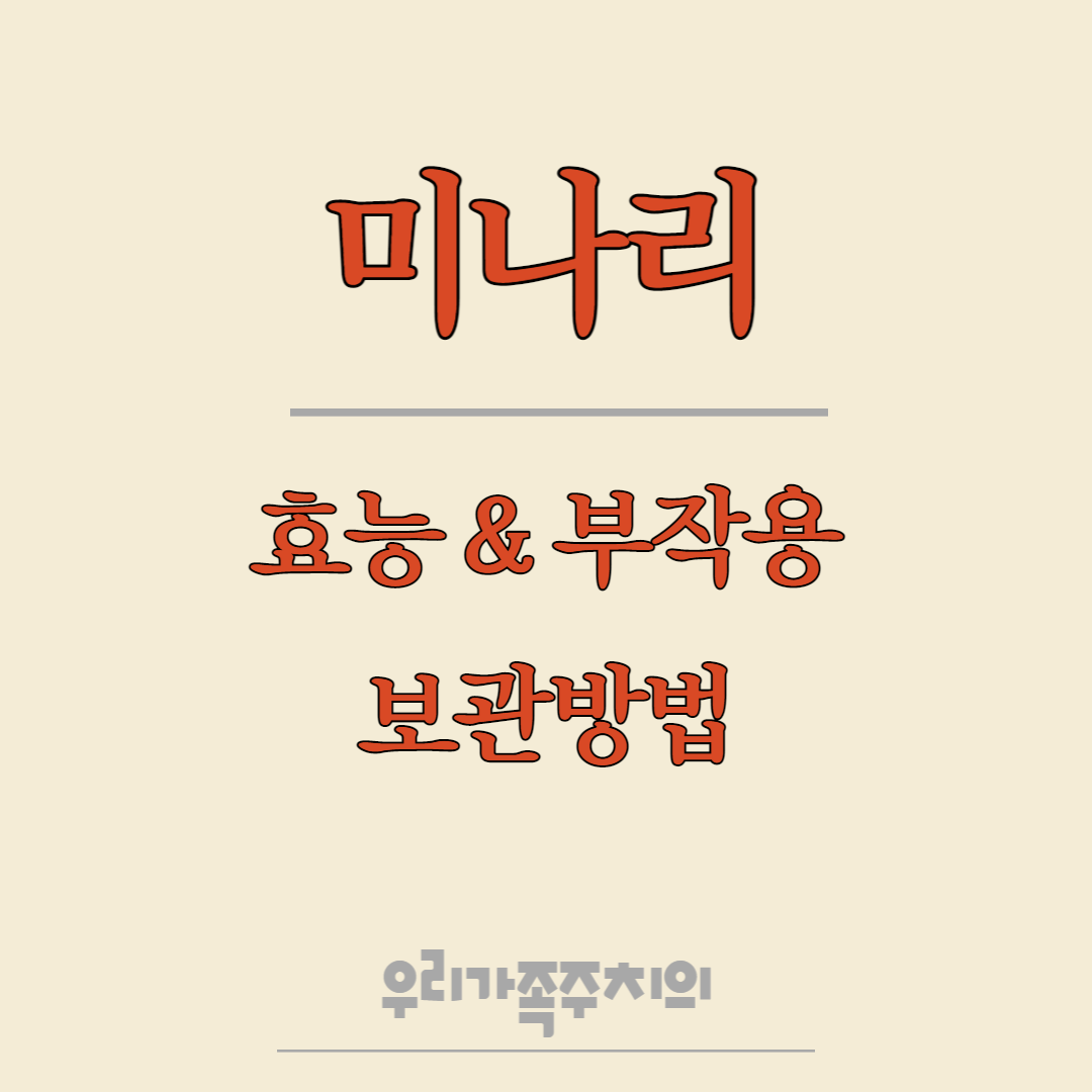 미나리