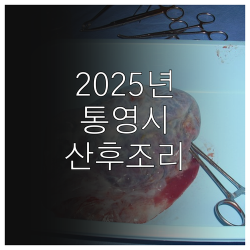 2025년 통영시 산후조리 지원금 신..