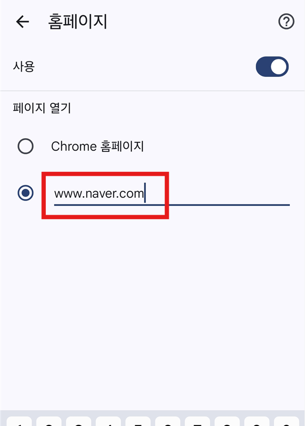 방법 5, 6: 맞춤 웹주소 선택하고 원하는 사이트 주소 입력하기