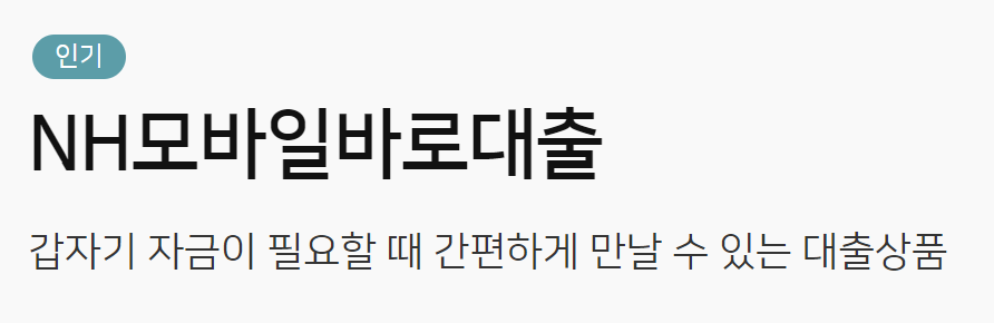 농협은행 NH모바일바로대출