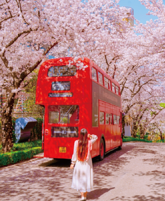 대구 이월드 벚꽃 관련이미지