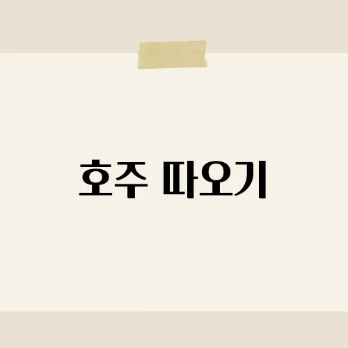 호주 따오기, 그 새의 생태와 특징은?