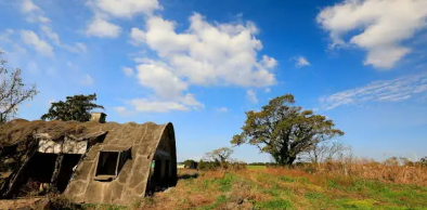 제주도 폐가 & 폐업 명소 탐방기
