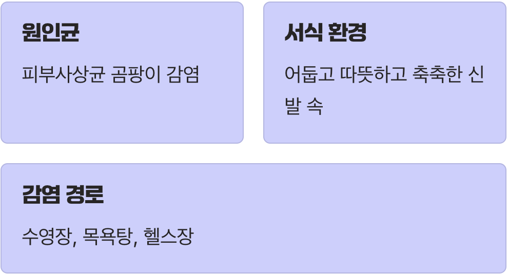 창피한 일이 아니에요, 곰팡이의 습격