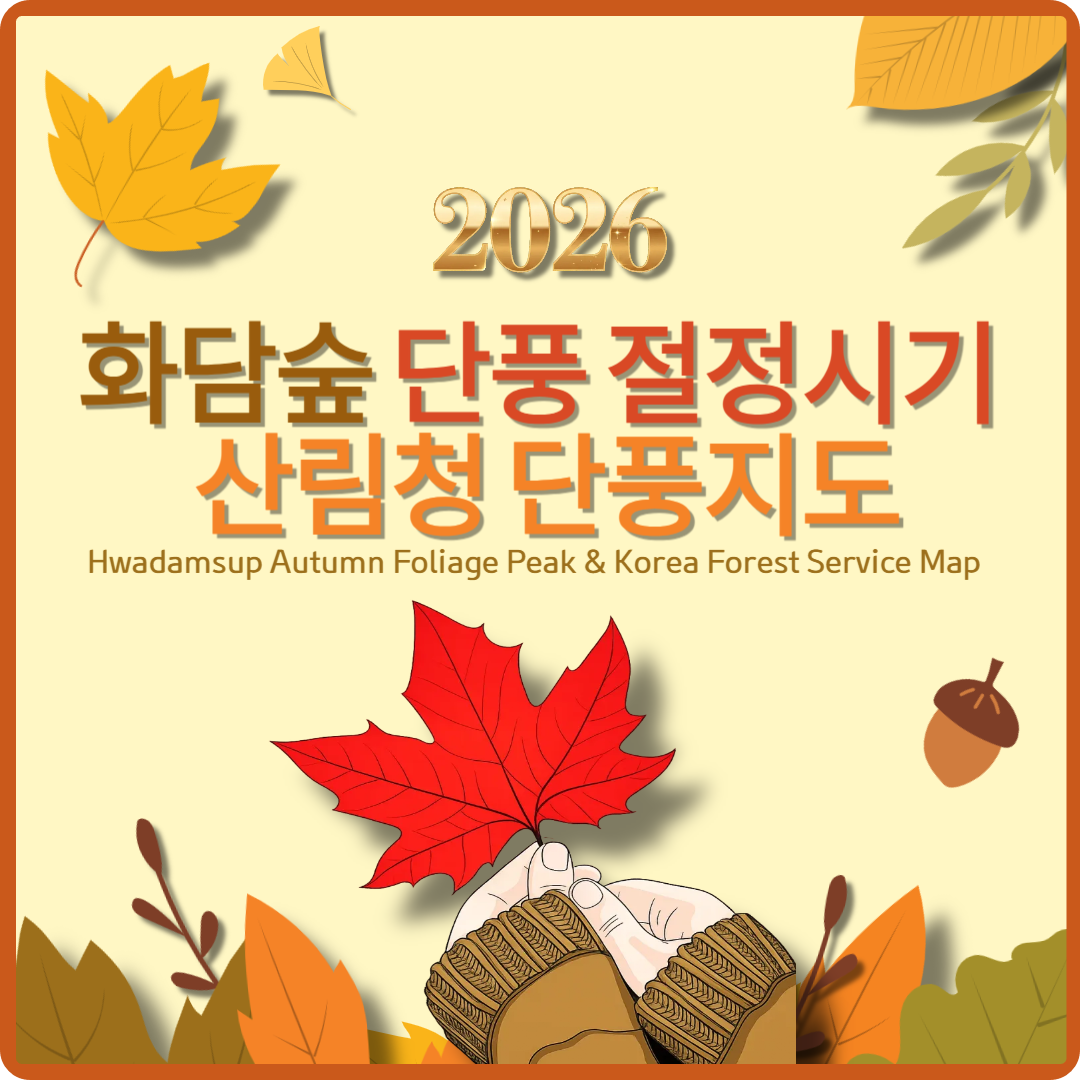 화담숲 단풍 절정시기 산림청 단풍지도(2026) 썸네일 이미지