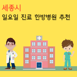 세종 일요일 진료 한방병원 추천